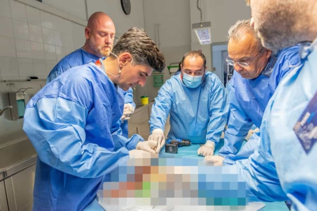 Advanced cadaveric course-2024-19