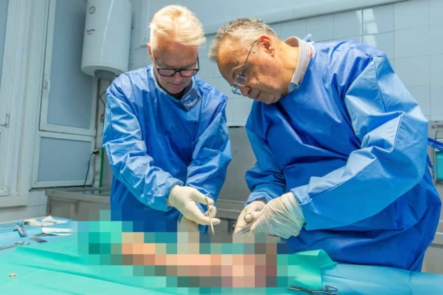 Advanced cadaveric course-2024-4