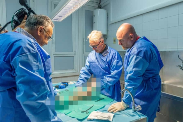 Advanced cadaveric course-2024-5