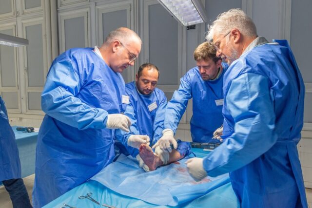 BAFAS-2nd-Course-all-About-Forefoot-2025_photo20